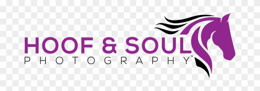 Graphic Design Clipart #4634371