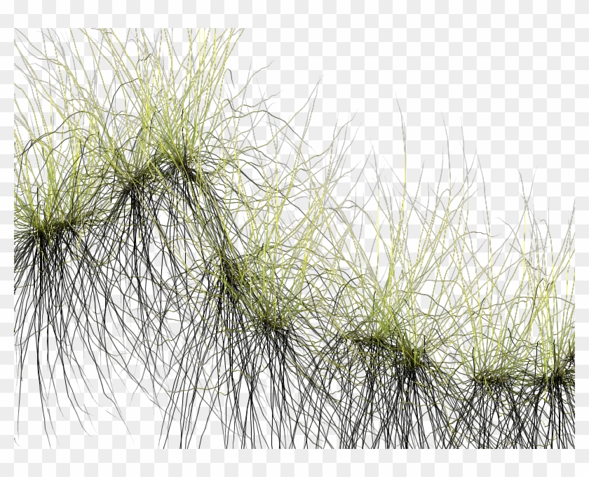Test2-png - Grass Particles Transparent Clipart