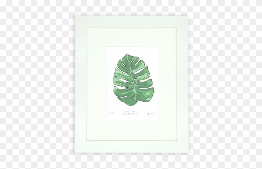The Split Leaf Philodendron Is Such A Beautiful Tropical - Floral Design Clipart