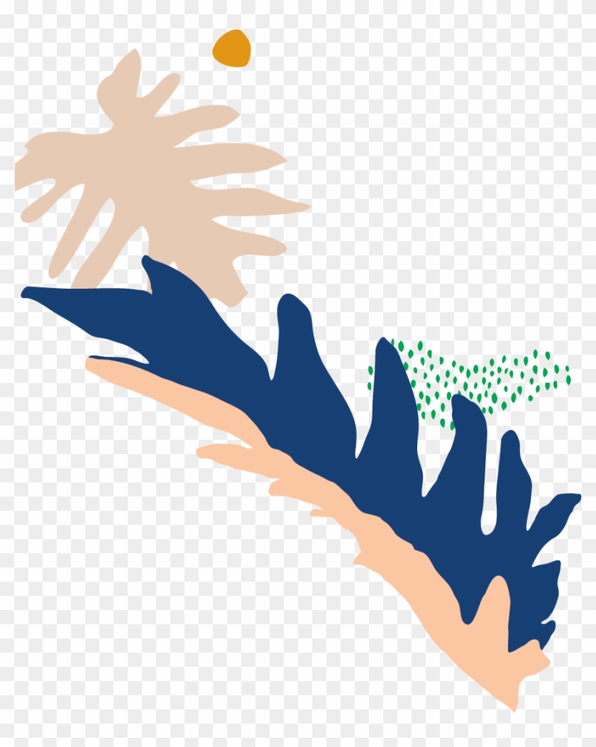 Philodendron - Illustration Clipart