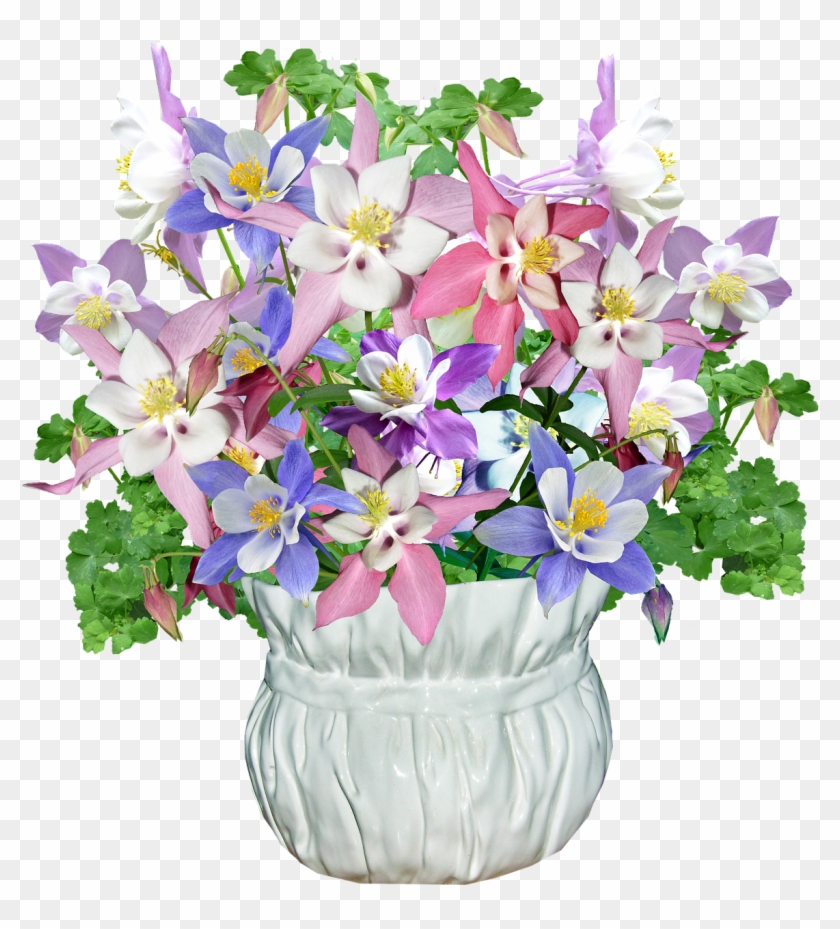 Flowers Vase Spring - Bouquet Clipart