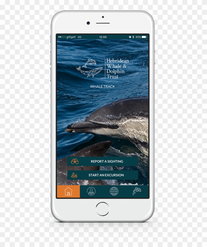 Download Our Free App - Humpback Whale Clipart #4635889