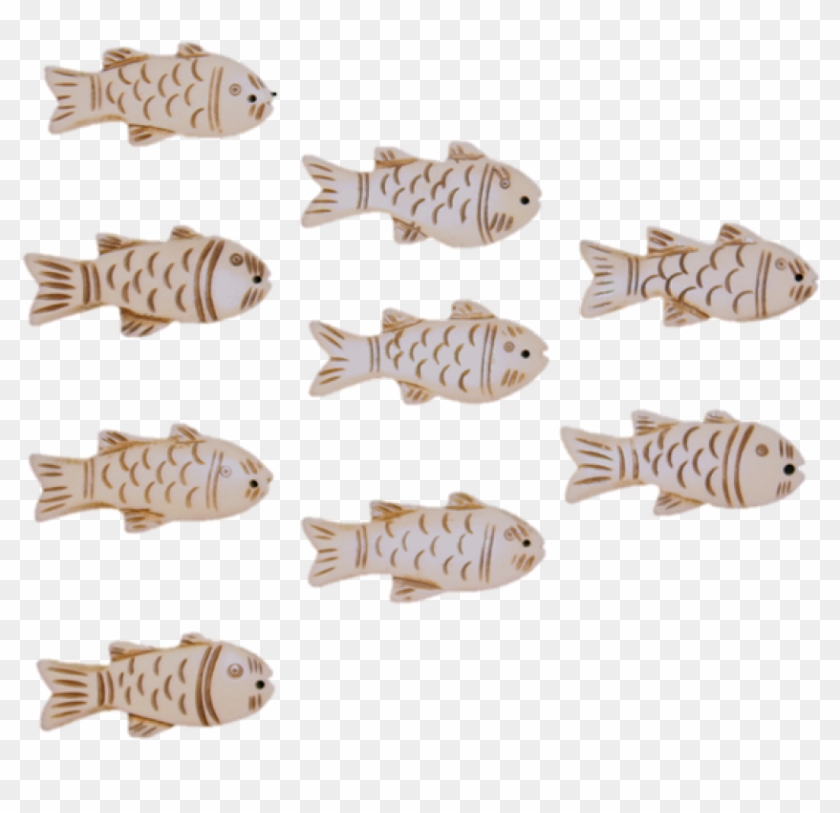 Pomacentridae Clipart #4636261