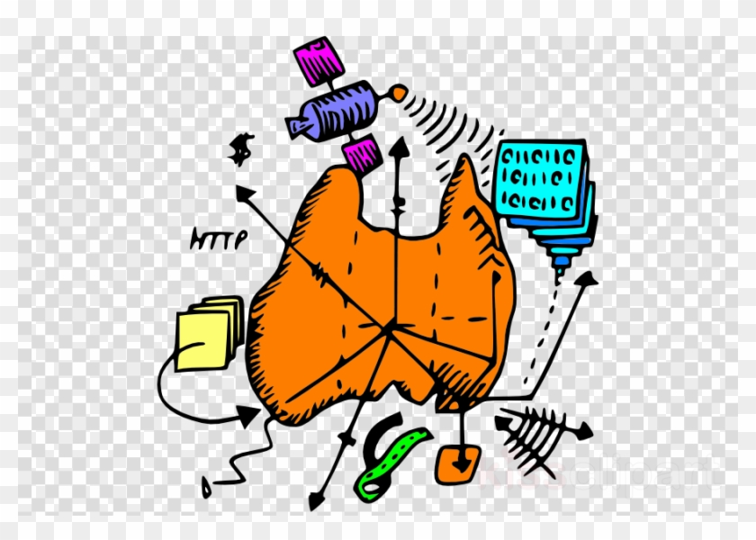 Compass Clipart Geography Subject - Ned Flanders Head Png Transparent Png