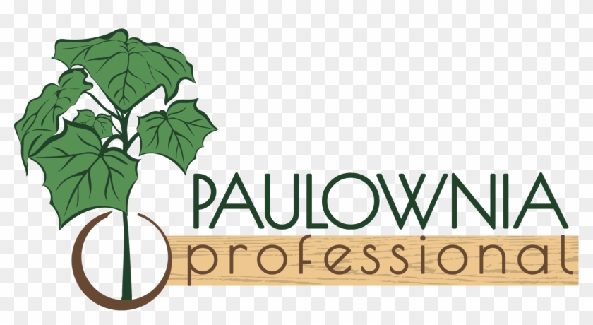 Logo Clipart #4640249