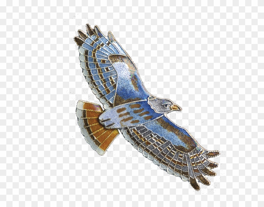 0096pin - Red-tailed Hawk Clipart
