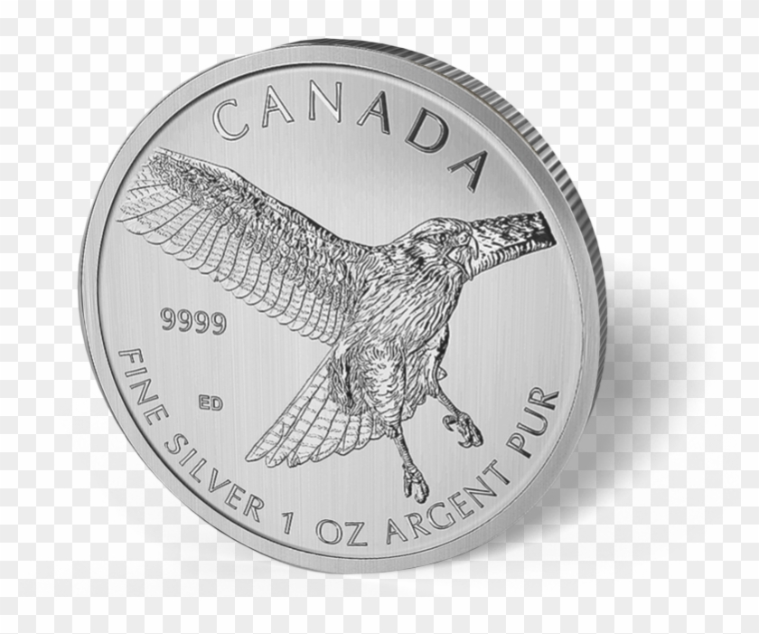 Picture Of 2015 1 Oz Canadian Silver Maple Leaf Red-tail - Red-tailed Hawk Clipart #4640841