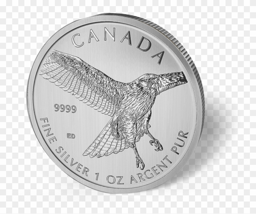 Picture Of 2015 1 Oz Canadian Silver Maple Leaf Red-tail - Red-tailed Hawk Clipart