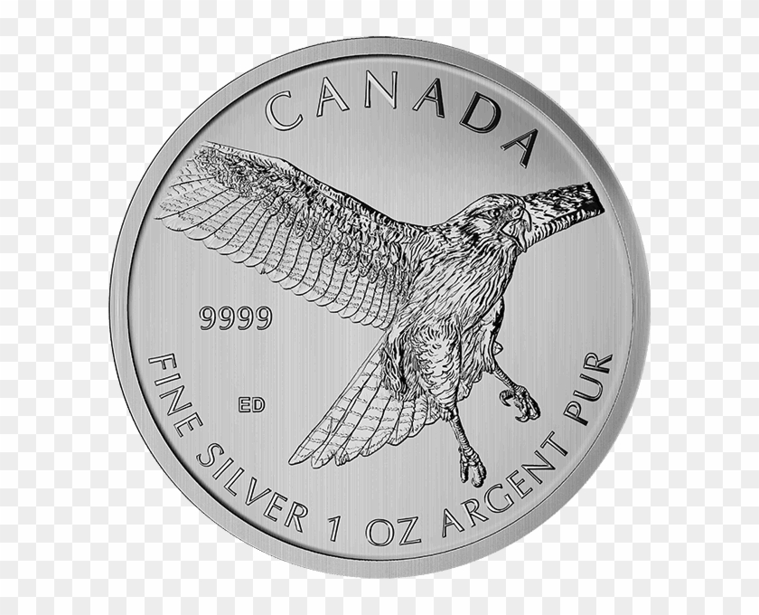 Picture Of 2015 1 Oz Canadian Silver Maple Leaf Red-tail - Canadian Birds Of Prey Coins Clipart