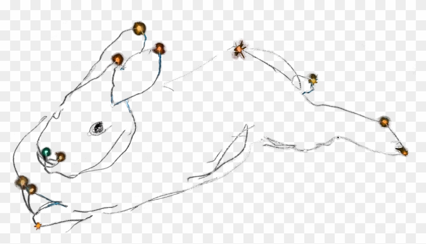 Sketch Clipart #4641197