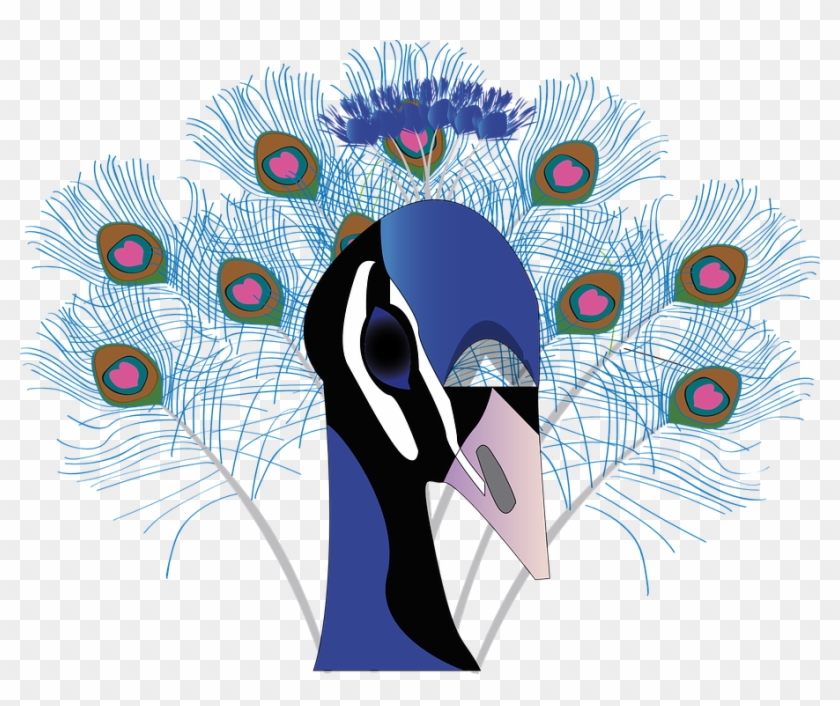 Bird Peacock Feather Beautiful Animal - Peacock Paragraph In Bengali Clipart #4641231