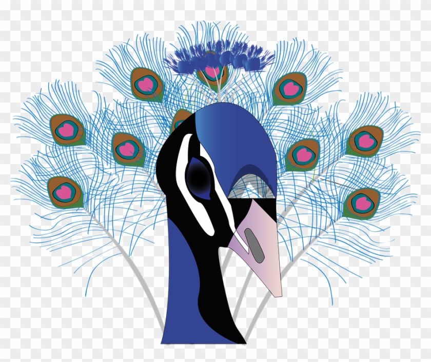 Bird Peacock Feather Beautiful Animal - Peacock Paragraph In Bengali Clipart