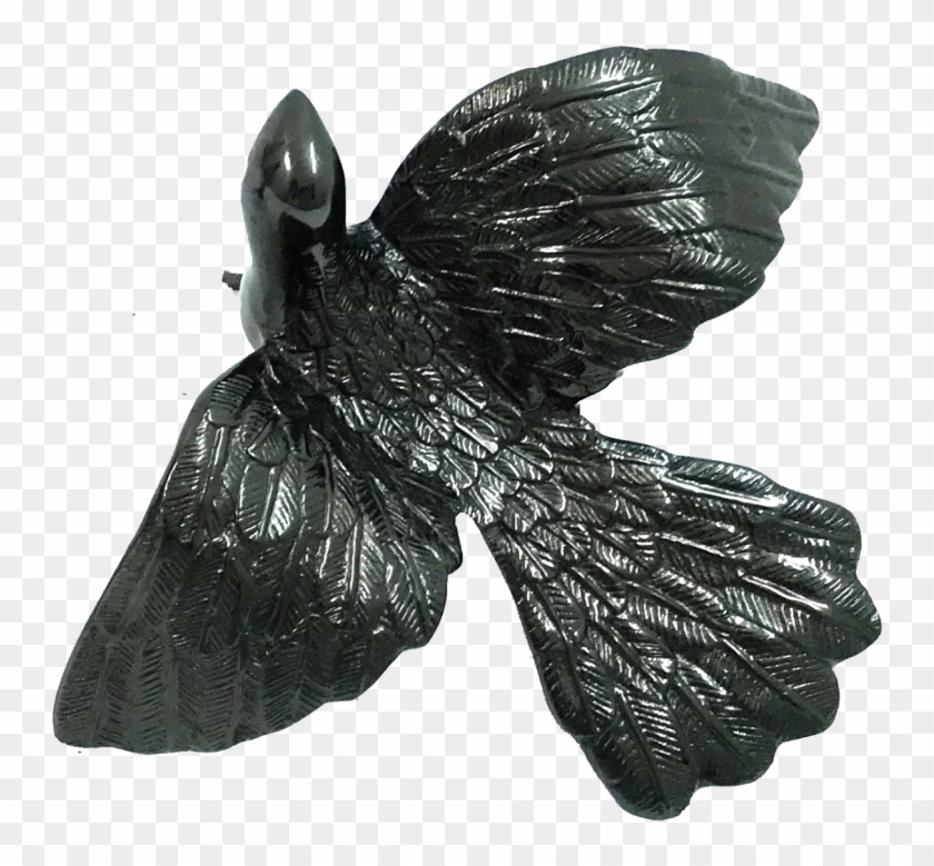 Bird Large - Red-tailed Hawk Clipart