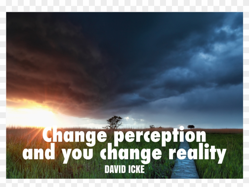 'change Perception And You Change Reality' David Icke Clipart