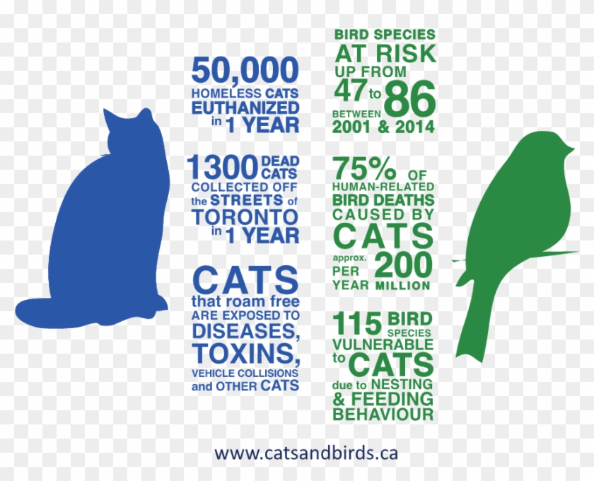 Nature Canadaverified Account - Domestic Short-haired Cat Clipart #4641987