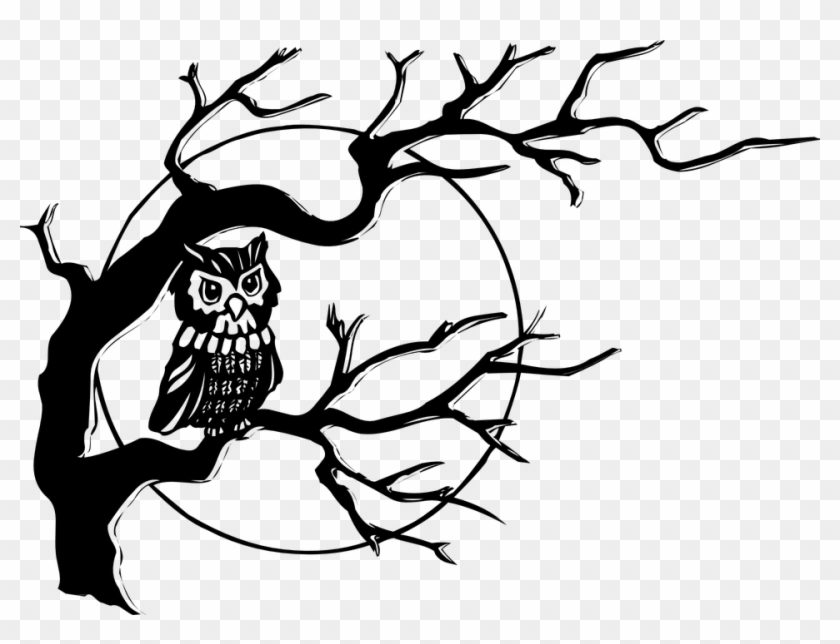 Owl Nocturnal Bird Bird Of Prey Hoot Night Perched - Tree With An Owl Clipart