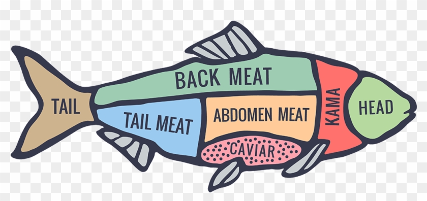 Fish Meat Png - Different Cuts Of A Fish Clipart