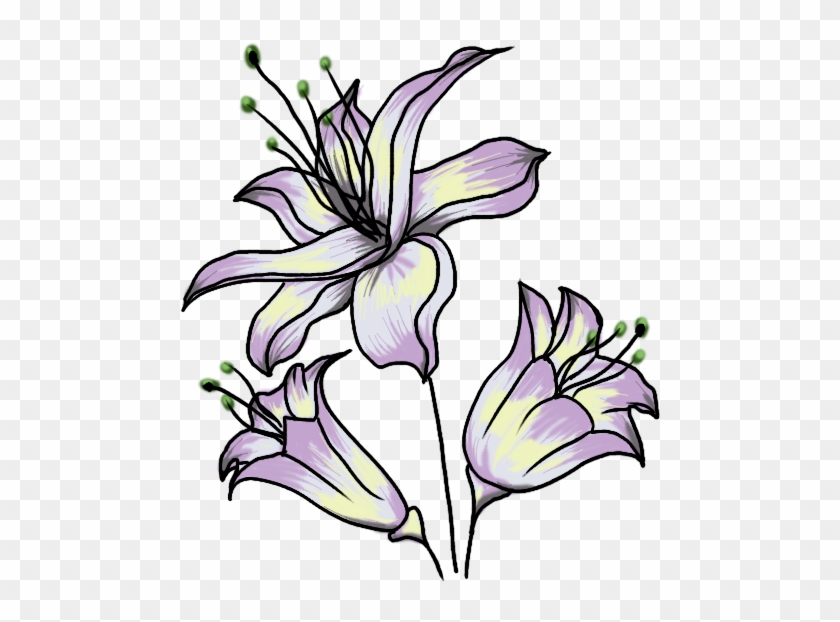 Easy Flower Drawing Coloured Clipart #4642538