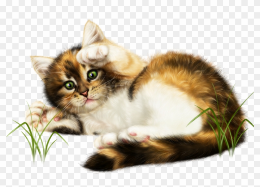 #kitten #kitty #cat #cute #playtime #layingdown #ftestickers - Schönen Sonntag Wünsch Ich Euch Clipart #4642664