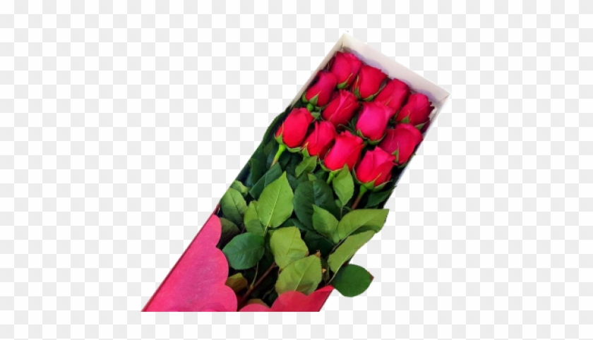 Caja 12 Rosas Rojas - Caja De 12 Rosas Clipart