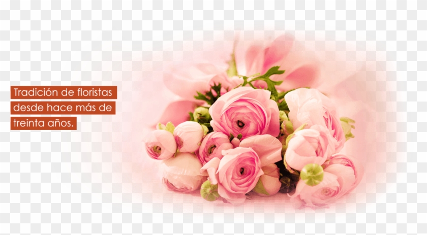 High Resolution Rose Clipart