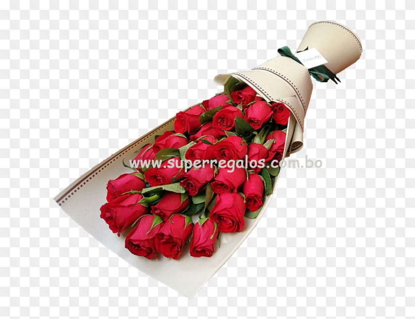 Ramo De 24 Rosas - Garden Roses Clipart #4644642