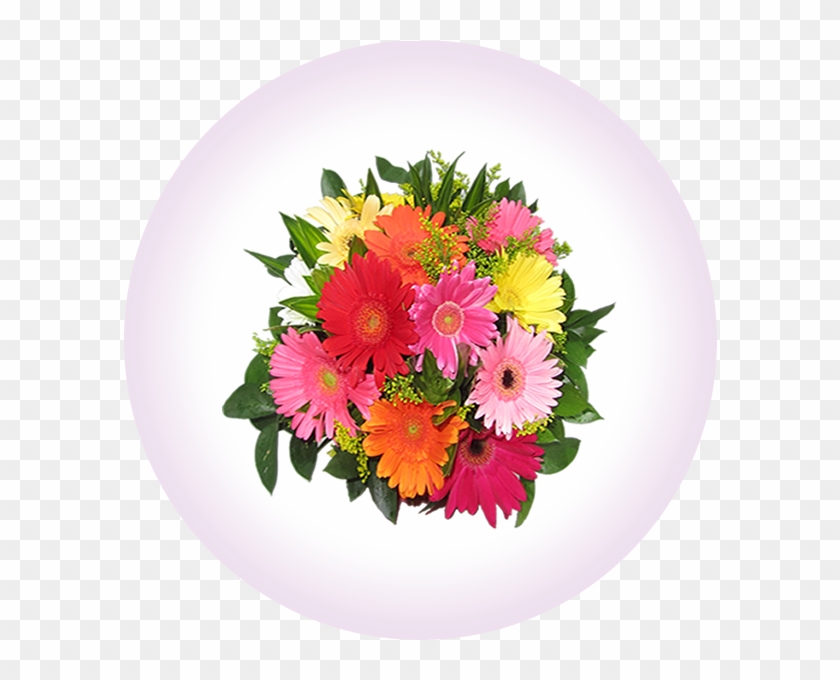 El Yugo Para Tu Boda - Barberton Daisy Clipart