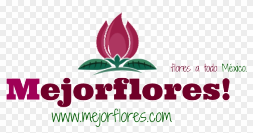Mejor Flores - Graphic Design Clipart #4644813