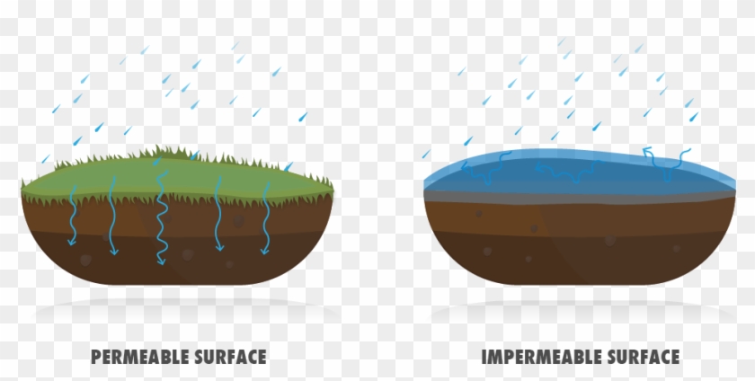 Permeable Vs Impermeable Clipart