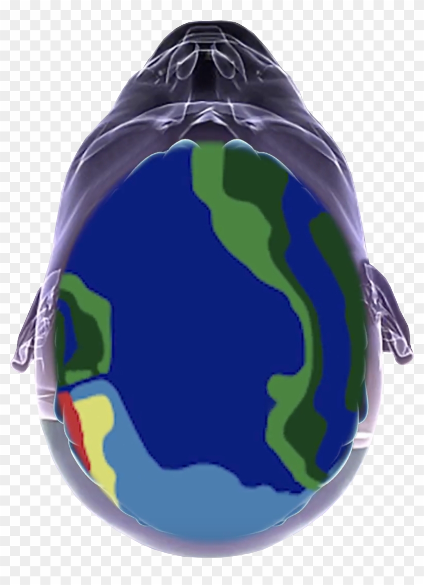 Incoherent Brain-wave Pattern With Limited Thought - Earth Clipart