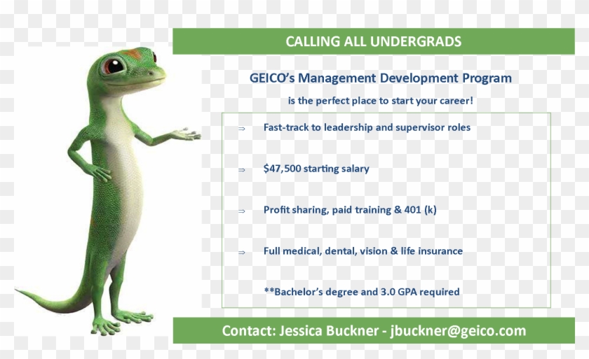 Image For Huong Dang's Linkedin Activity Called University - Geico Gecko Clipart #4646865