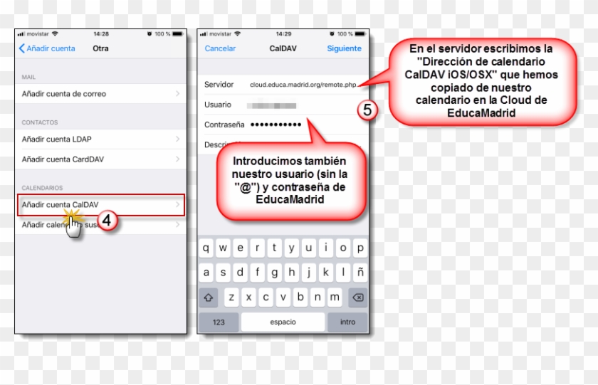 Png, 2018 11 29 - Serum Clipart #4647172