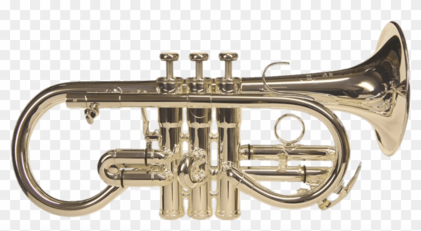 Download - Besson Sovereign Soprano Cornet Clipart