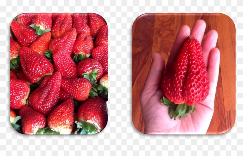 Fresas - Frutti Di Bosco Clipart