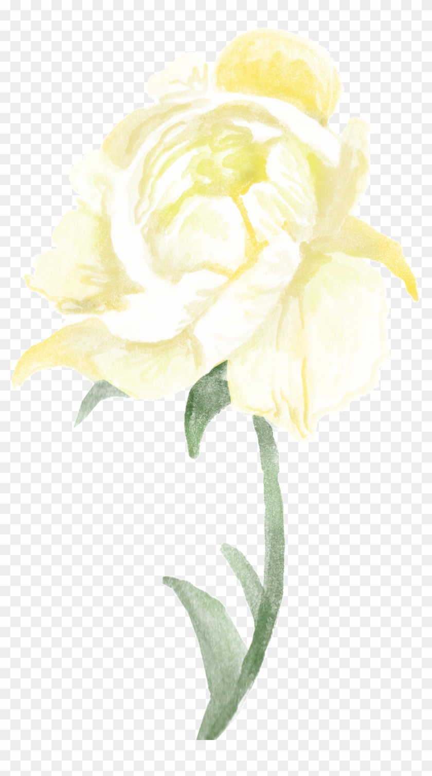 Transparente Png Ornamental Para Ramas De Flores Blancas Clipart #4649621