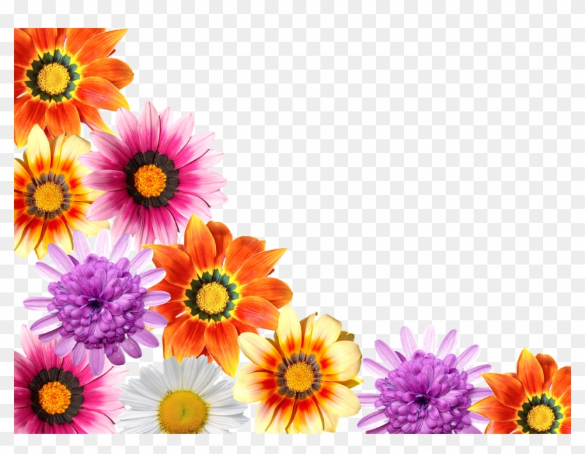 Flores, Verano, Jardín, La Naturaleza, Flor, Planta - Flores Do Verao Png Clipart