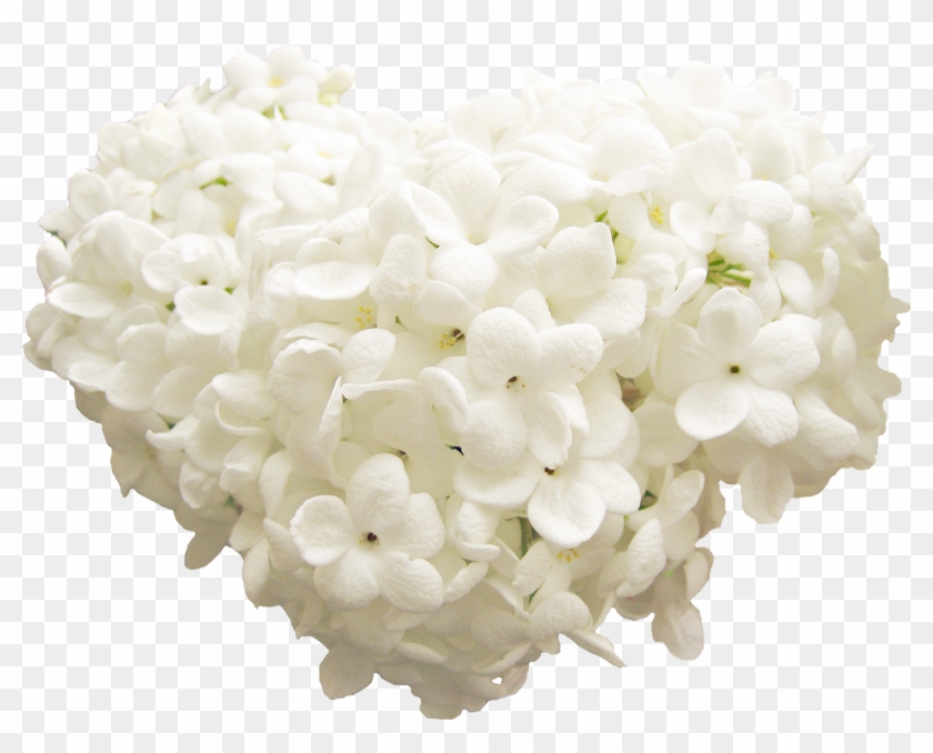 Corazon Con Flores Blancas - الصلاة والسلام عليك يا حبيبي يا رسول الله Clipart