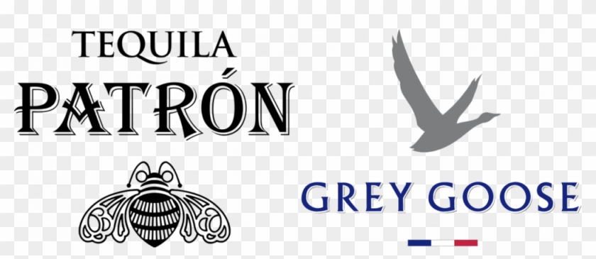 Global Chief Marketing Officer - European Swallow Clipart