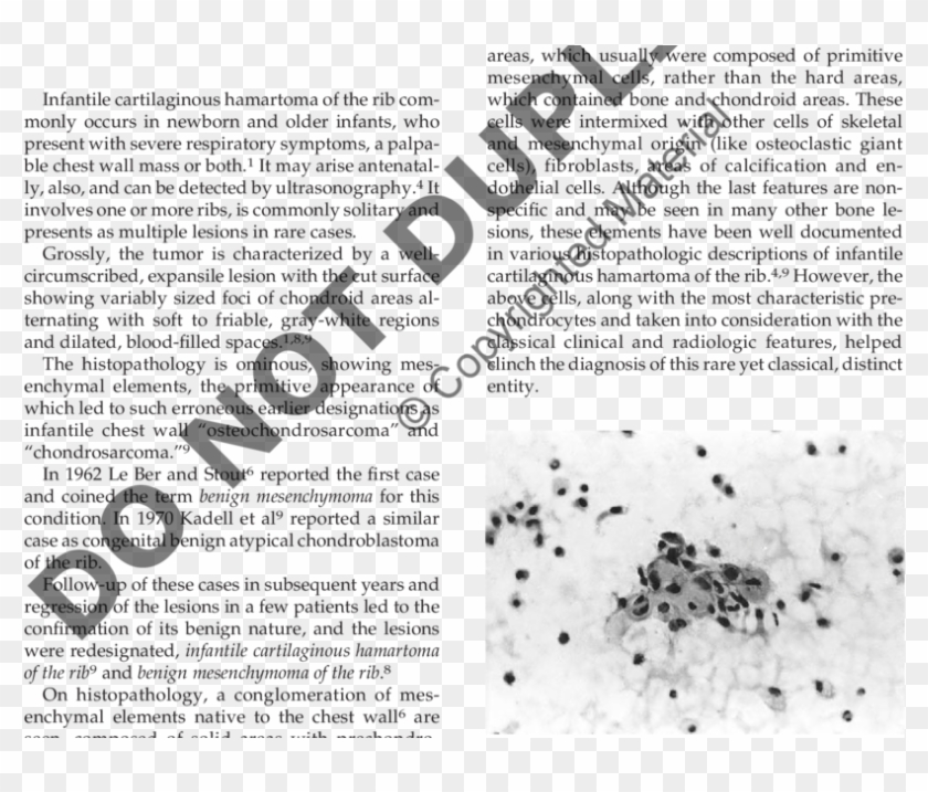 Osteoclastic Giant Cells And Syncytial Prechondrocytic - Pap Test Clipart #4652433