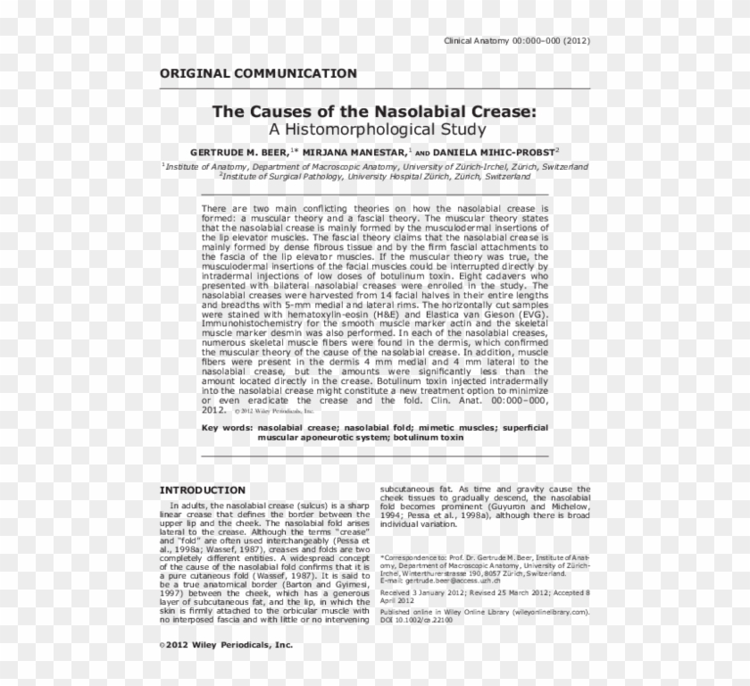 Pdf - Audit Report Clipart #4652653