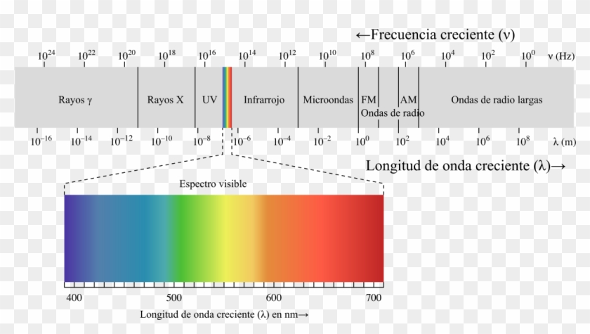 Los Efectos De Estas Radiaciones Son Acumulativos, - Electromagnetic Spectrum Clipart