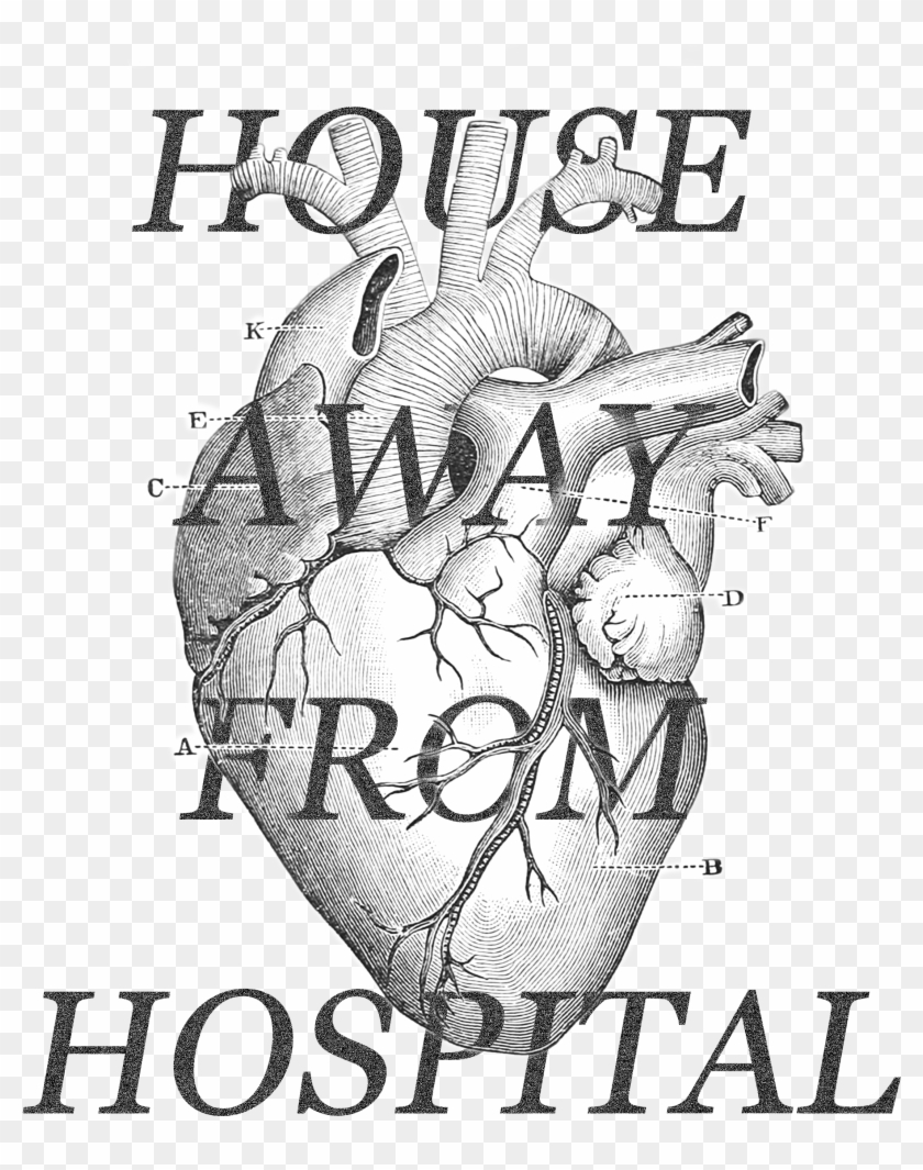 Heart Diagram Clipart #4654627