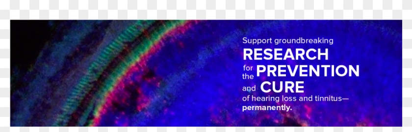 Oiseaux Du Jardin Clipart #4655665