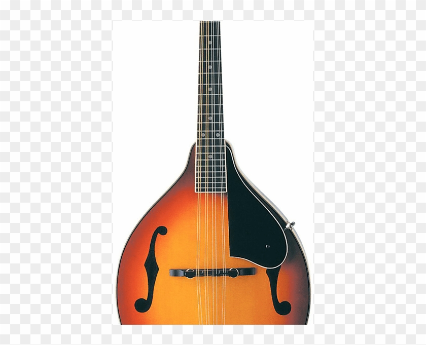Acoustic Guitar Clipart #4657834