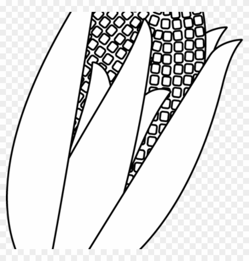 Vector Freeuse Library Corn Clipart Black And White - Illustration - Png Download