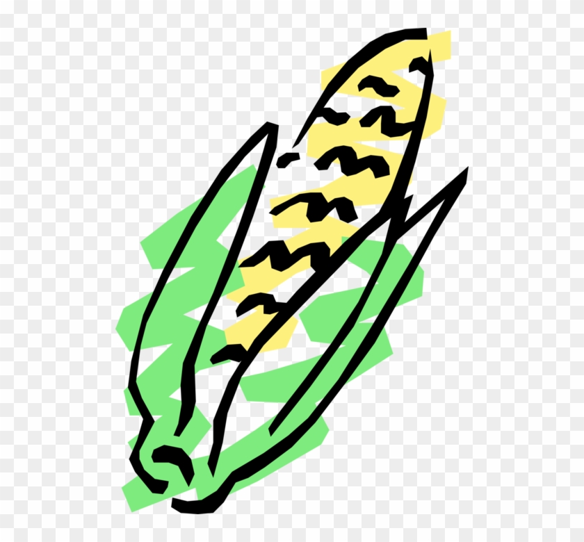 Vector Illustration Of Corn On The Cob Grain Plant Clipart