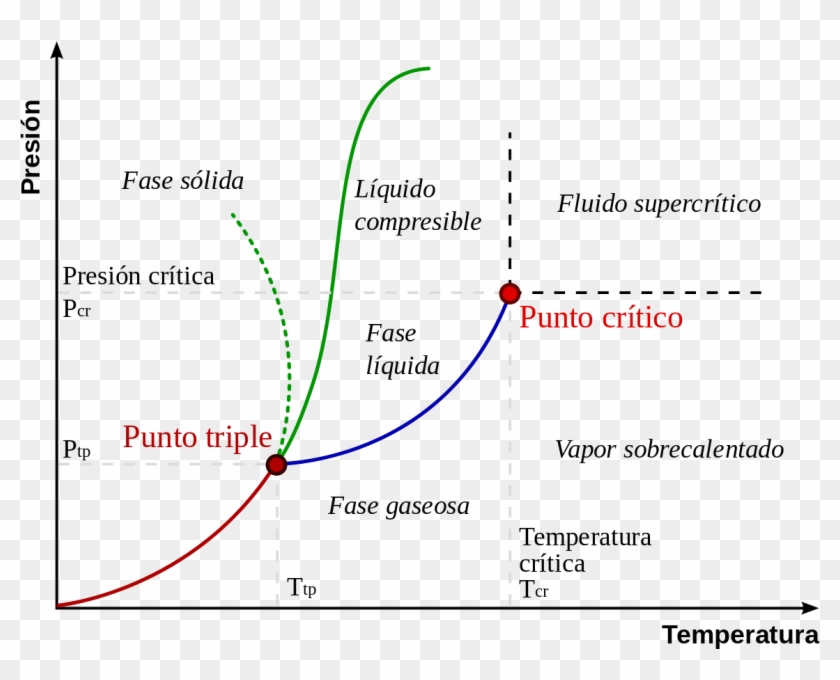 Punto Critico - Phase Diagram Clipart