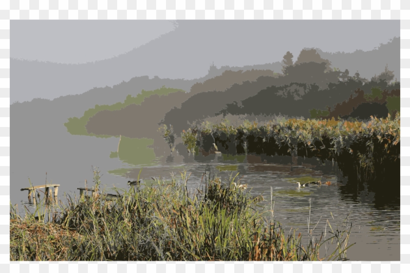 Pond Computer Icons Swamp Vegetation Komarhorod - Loch Clipart