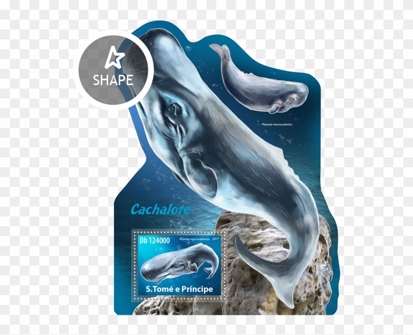Issue Of Sao Tome And Principe Postage Stamps - Common Bottlenose Dolphin Clipart #4661498