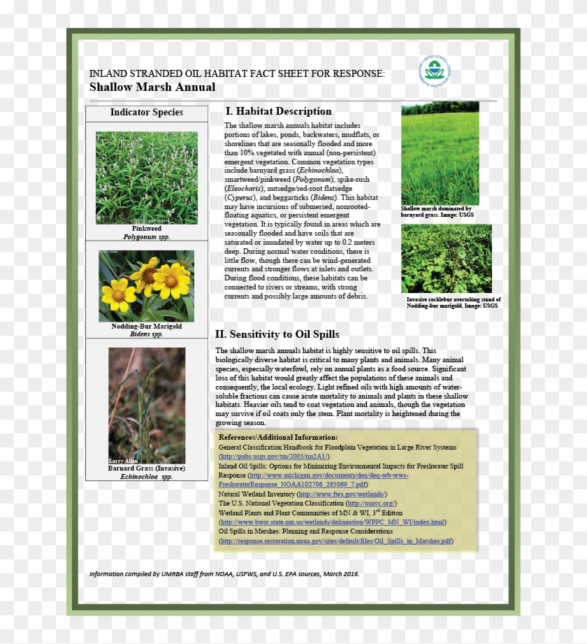 Download Pdf - Grass Clipart